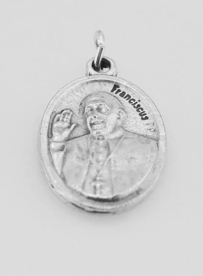 Anhänger Papst Franziskus (pic 2)