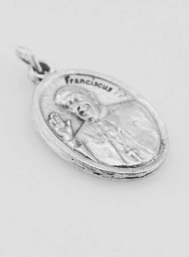 Anhänger Papst Franziskus (pic 3)
