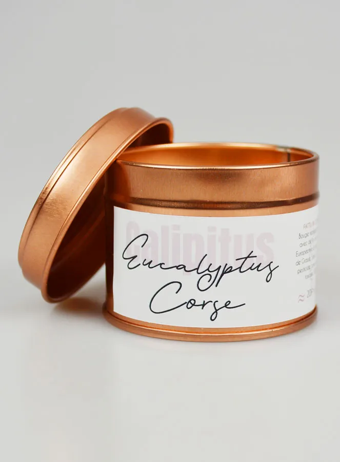 Handgefertigte Duftkerze – Eukalyptus aus Korsika (pic 1)