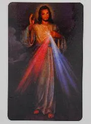 10 Stück Gebetskarten Barmherziger Jesus Christus (in Französisch)