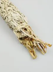 Großes Räucherbündel Weißer Salbei - 50cm