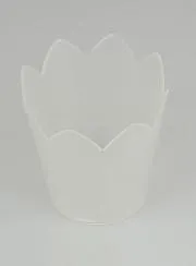 Windschutz Flammenschutz für Prozessionskerzen