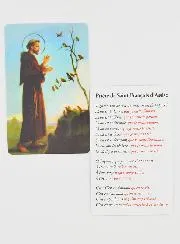 Gebetskarte hl Franziskus (in Französisch)